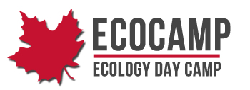 EcoCamp Logo